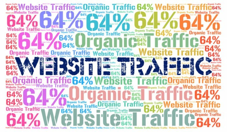 website-traffic-get-more-traffic-to-your-website-793x462.jpg