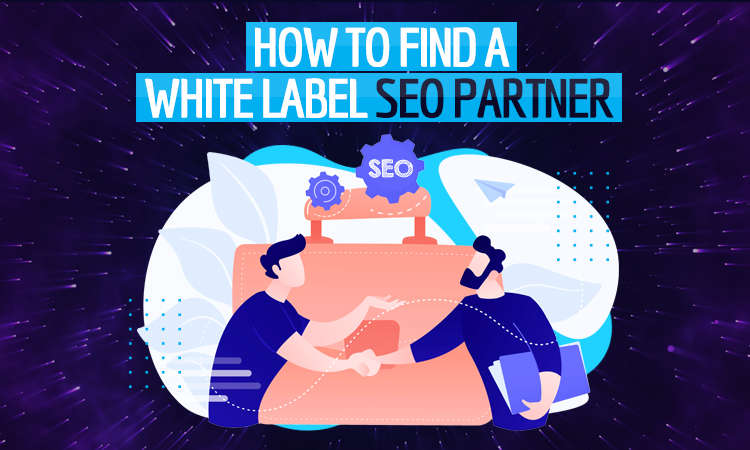 white label SEO - find white label seo partner