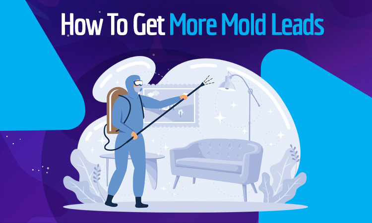 How To Get More Mold Leads